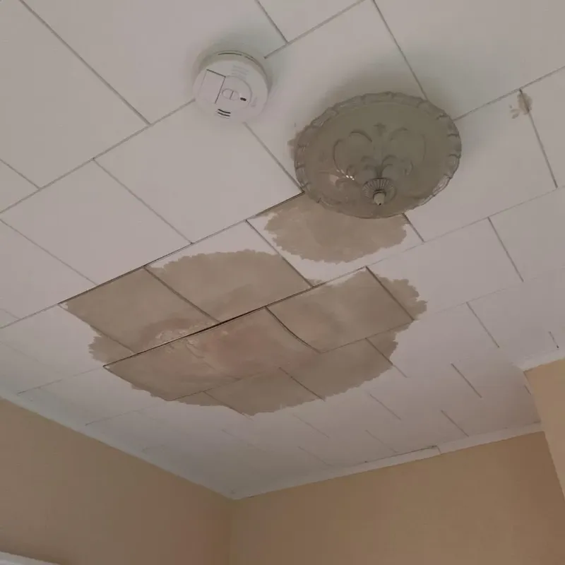 Ceiling Water Damage Repair in Bayou Cane, LA